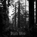 Folkvang : Black Wind